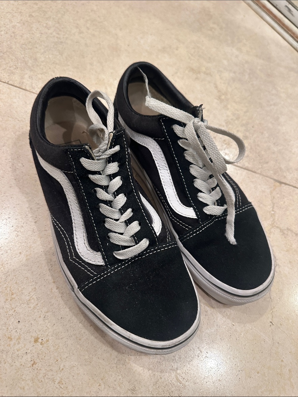 Vans Black & White Low-Top Skate Sneakers